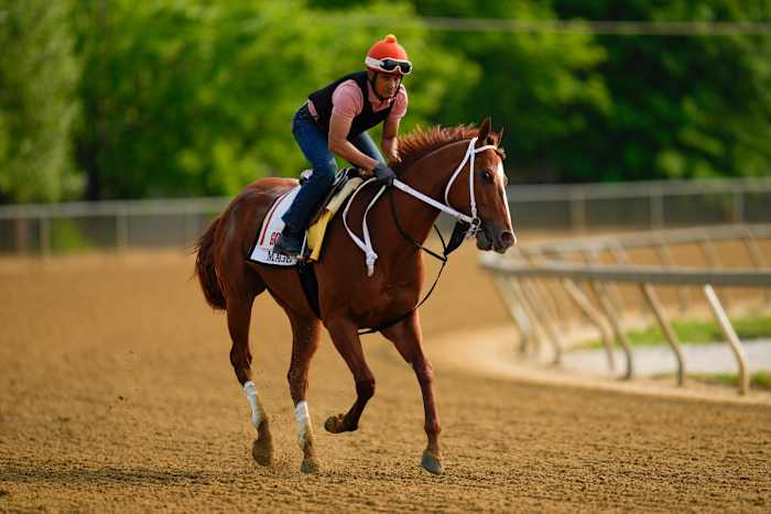 Kentucky Derby winner Mage works out ahead of the Preakness Stakes.